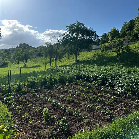 Weekend Getaway House