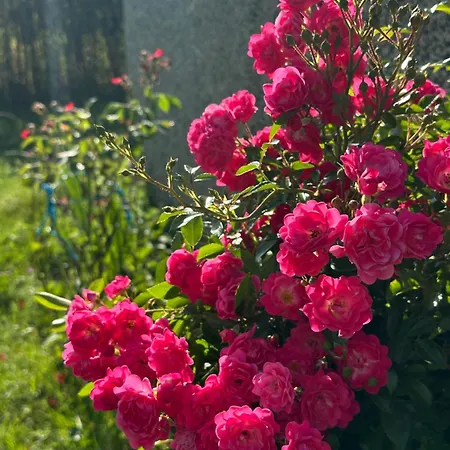 Casa de Férias Weekend Getaway House *